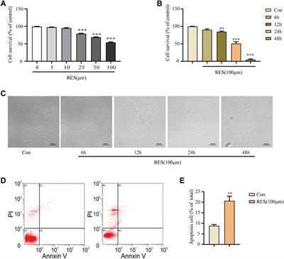 Preclinical reserpine models recapitulating motor and non-motor features of Parkinson’s disease: Roles of epigenetic upregulation of alpha-synuclein and autophagy impairment